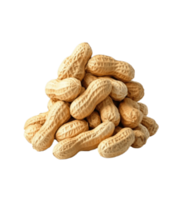 Premium Quality Ingredients